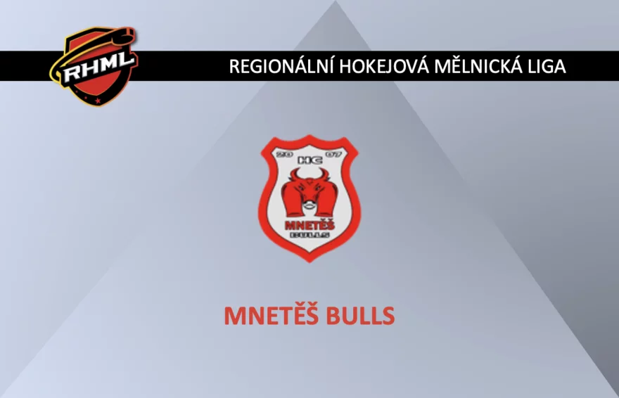 Mnetěš Bulls
