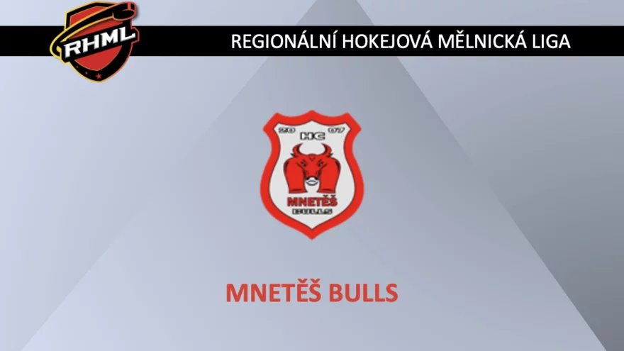 Mnetěš Bulls