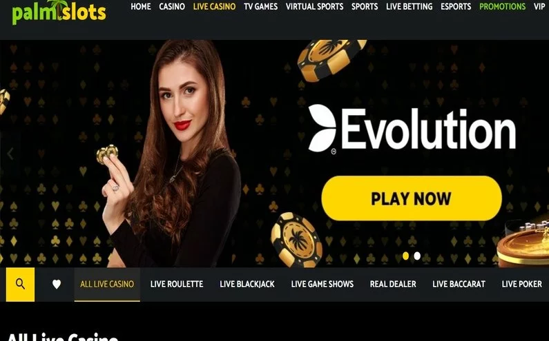 PalmSlots Casino recenze ☑️ | 300 % do výše 1000 € 🔥