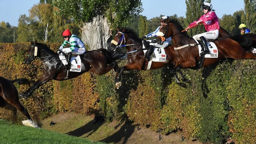 Velká pardubická 2021: Termín, program, výsledky