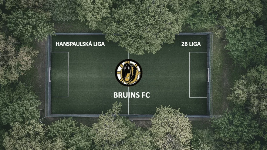 Bruins FC