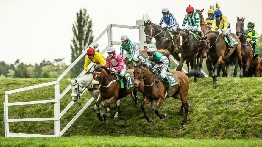 Velká pardubická 2020: termín, program, výsledky - Vítězem 130. Velké pardubické se stal dvanáctiletý hnědák Hegnus v sedle s Matuským.