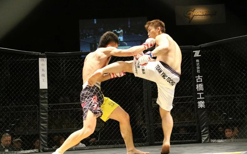 MMA v kostce. Proč jsou u nás bojové sporty populárnější?